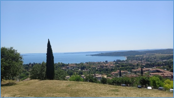 T 9